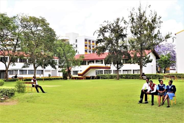 certificate in nursing requirements